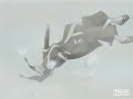 tylee-little-wing.html