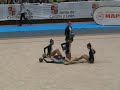 Ver Vídeo Ver Vídeo