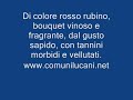 La via del vino Aglianico Maschito Potenza Basilicata