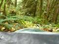 Quad's eye view: The Kawi cam