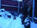 Merry Christmas from RJR.wmv