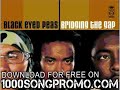 Letra de la cancion Bridging The Gaps - Black Eyed Peas