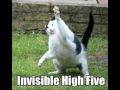LolCatz - Part 4