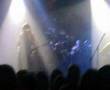 Tyr - ramund hin unge