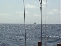 Wind Finally