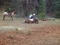 Endurance rider Laurie returns to the trail seven years after rehab from a spinal cord contusion.  Laurie had over 7000 endurance miles before her accident and was injured in an ATV accident and was originally told she would never walk again or leave the bed.  She is still considered quadriplegic