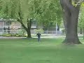 Duck Hunt Part Deux