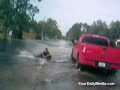 videos Surf