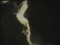 Dungen - Panda