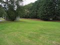 TRex RC Helipcopter in Forward Flight TRex RC Helipcopter in Forward Flight