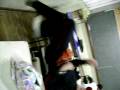 videos de ((SESI)) Guilherme andando na parede..vêê see poodee