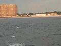 Blufish Blitz off New Jersey