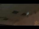 Cloverfield Trailer# 2 - European Version