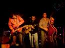 Travis Mann Band