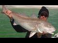 BEACH REDS :: Fishing for Bull Redfish off the beaches of Destin Florida with... View Video