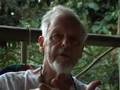 JAMM -Icaros:  Spirit Songs of the Amazon