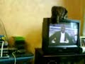 Chat marrant vs TV