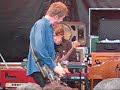Wilco Handshake Drugs, Nels Cline solo