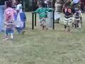sac n fox pow wow