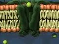 Active Transport