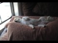 What a bored ???