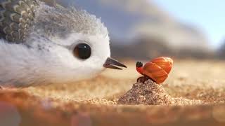 мультфильм Disney - Песочник - PIPER