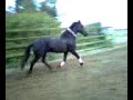 Xanne met me sjaal Xanne met me sjaal