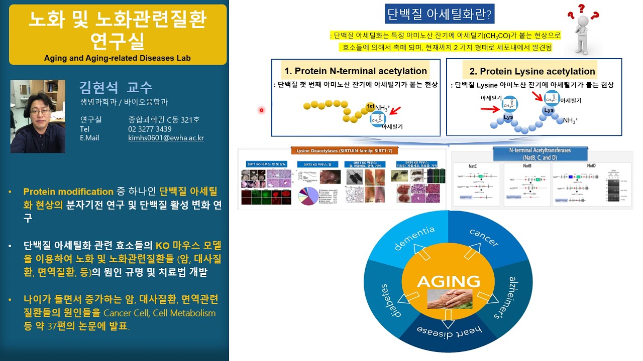 노화 및 노화 관련 질환 연구실 <김현석 교수>