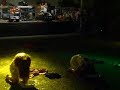 Le Tarantolate - SPAZIO DANZA DUE Salice Salentino Le Tarantolate - SPAZIO DANZA DUE Salice Salentino