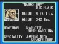 Wcw world championship wrestling intro nintendo Video
