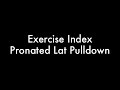 Self Made Exercise Index:  Pronated Lat Pulldowns