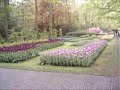 +Keukenhof flower park part 1  Netherlands - Keukenhof kv?tinov� park d�l 1  Nizozem�.