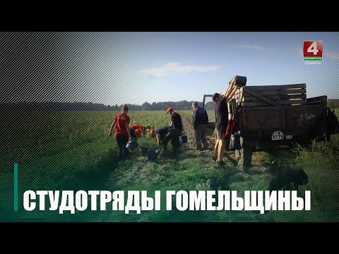 На Гомельщине БРСМ трудоустроил более 7 000 бойцов со всего региона видео