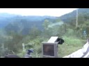 200806 南橫毛地黃 19 人 18 台車