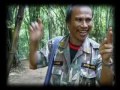 Panjai #11