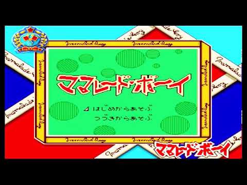 動画