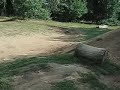 HPI Savage HPI Savage