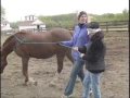 Leadership & Horses: L-E-A-D Workshops