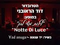 דוד הראובני-David Hareuveni בשיר: יד ענוגה  Yad anuga