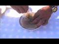 Saltwater Fish Recipes