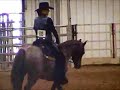SV Revelation Western Pleasure SV Revelation Western Pleasure