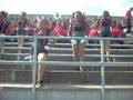 Proviso West Diamonds @ the 08 Homecoming Game
