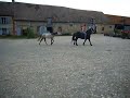 quidam de bat