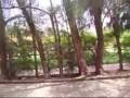 videos de FAMILIA MAXIMIANO LAZER