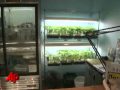LA's Top Prosecutor Vows to Target Pot Shops