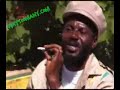 Funny Rasta Tour Guide!