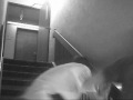 JAMES BOND FIGHT SCENE SPOOF THINGY