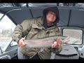 Ocean-Run Rainbow Wrangling - 20+ Pound Trout