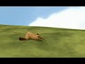 kiwi mad world version original