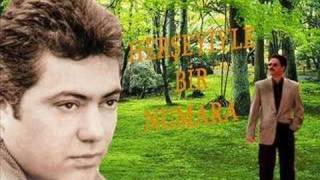 Cengiz Kurtoğlu - Şarkılara Sordum
